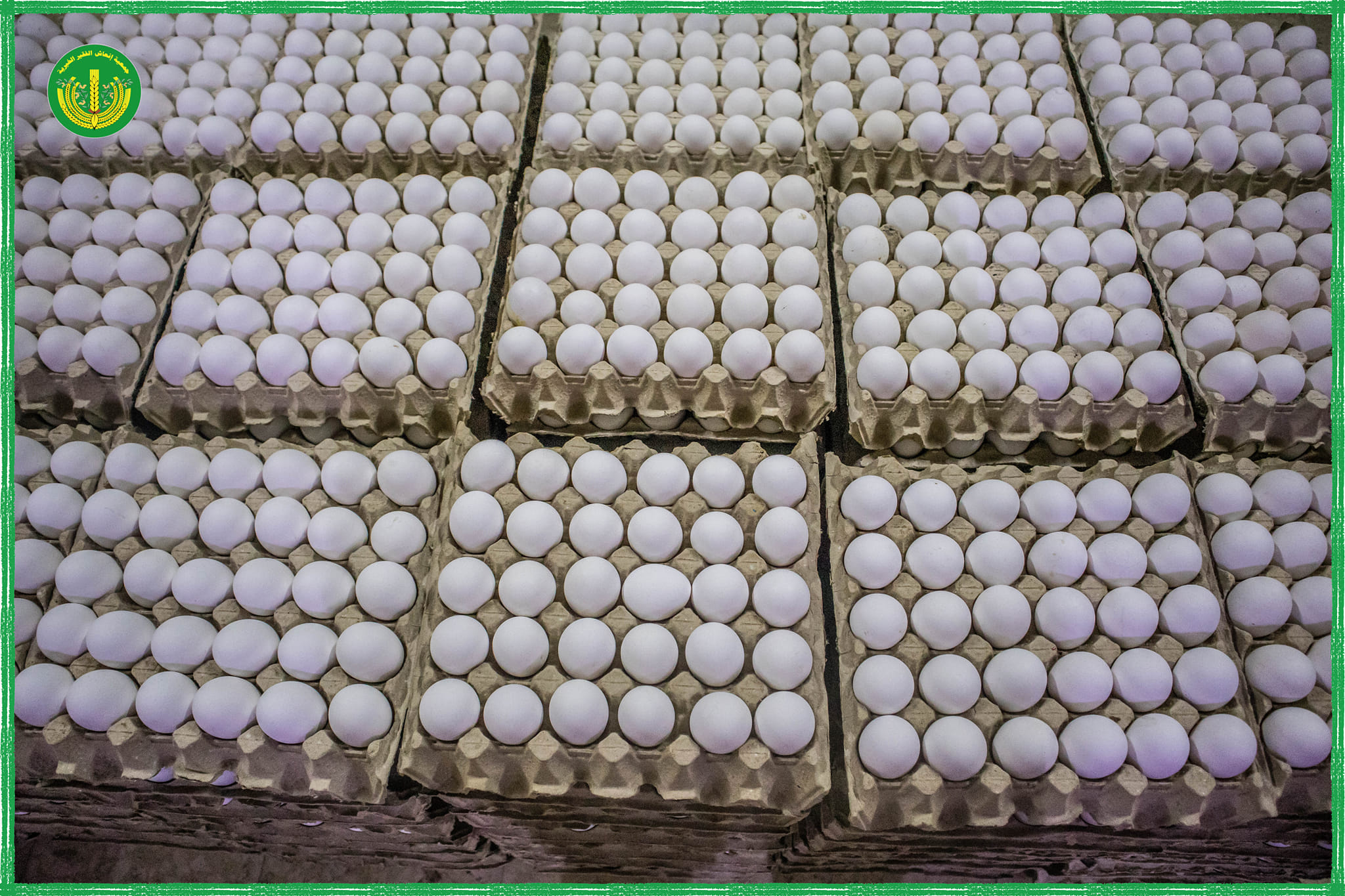 ✨نسعى دوما أن نخفف الصعاب والضغوط بقدر ما نستطيع✨.